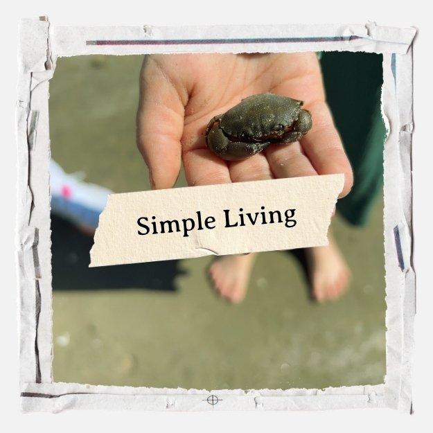 Simple Living - Child's hand holding small brown crab